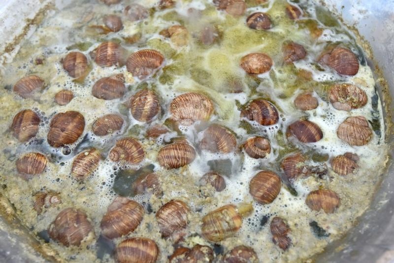 U sklopu Benkovackog kulturnog ljeta Grad Benkovac i Turisticka zajednica Grada Benkovca vec cetvrtu godinu za redom organiziraju manifestaciju Puzevim korakom. Radi se o gastro manifestaciji pripreme i degustacije puzeva. Posjetitelji su imali prilike d U sklopu Benkovackog kulturnog ljeta Grad Benkovac i Turisticka zajednica Grada Benkovca vec cetvrtu godinu za redom organiziraju manifestaciju Puzevim korakom. Radi se o gastro manifestaciji pripreme i degustacije puzeva. Posjetitelji su imali prilike d