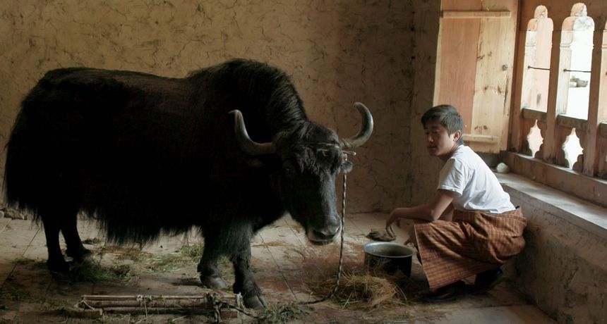 Lunana: A Yak in the Classroom Lunana: A Yak in the Classroom