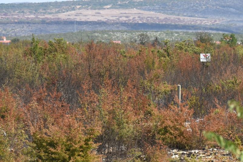 Pristeg: Veliki požar nošen burom približava se kućama, čuju se i detonacije mina