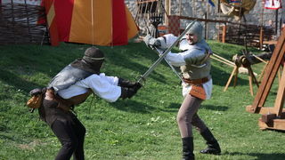 Zvonimirovi dani, Knin 28. i 29. lipnja 2008.