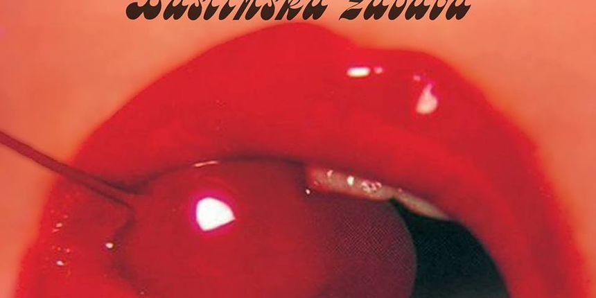 Hrvatska Disco Zajednica, baštinska zabava