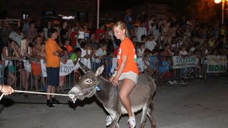 10. međunarodna trka tovarov Tisno 2015