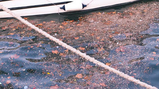 Tramontana u Zadru 17. prosinca 2011., Foto: Leo Banić Tramontana u Zadru 17. prosinca 2011., Foto: Leo Banić