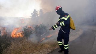 Požar na Plovaniji 11. kolovoza 2013. Foto: Željko Mršić/PIXSELL Požar na Plovaniji 11. kolovoza 2013. Foto: Željko Mršić/PIXSELL