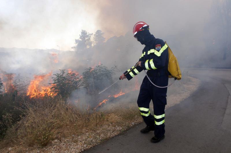 Požar na Plovaniji 11. kolovoza 2013. Foto: Željko Mršić/PIXSELL Požar na Plovaniji 11. kolovoza 2013. Foto: Željko Mršić/PIXSELL
