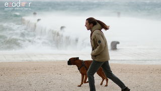 Đir po gradu, ponedjeljak 28. prosinca 2020. Đir po gradu, ponedjeljak 28. prosinca 2020.