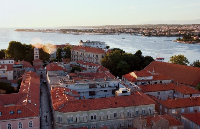 Image 1173729 (auto)