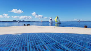 Zadarska Koka 2016. 22. listopada 2016. Foto: Mladen Malik Zadarska Koka 2016. 22. listopada 2016. Foto: Mladen Malik