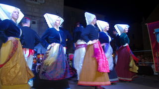 Paški ljetni karneval 2014. Paški ljetni karneval 2014.