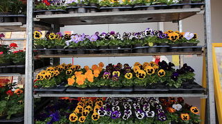 bauMax Zadar: -15% dan 19. ožujka 2014, Foto: Roberto Lerga bauMax Zadar: -15% dan 19. ožujka 2014, Foto: Roberto Lerga