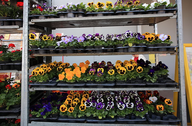 bauMax Zadar: -15% dan 19. ožujka 2014, Foto: Roberto Lerga bauMax Zadar: -15% dan 19. ožujka 2014, Foto: Roberto Lerga