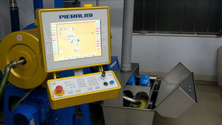 Put masline od stabla do djevicanskog ulja, Foto: Leo Banic Put masline od stabla do djevicanskog ulja, Foto: Leo Banic