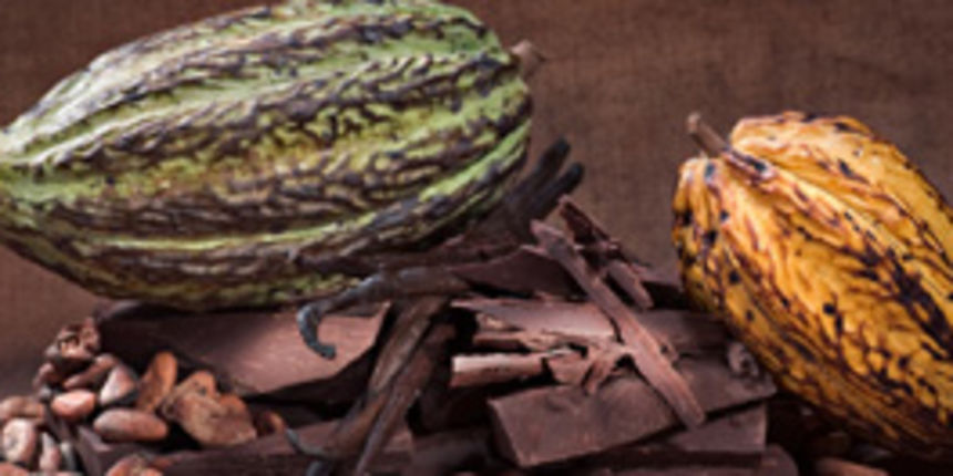 Čokolada-poslastica i lijek(t-portal.hr) Čokolada-poslastica i lijek(t-portal.hr)