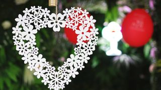 Romantični tjedan u Ninu Romantični tjedan u Ninu