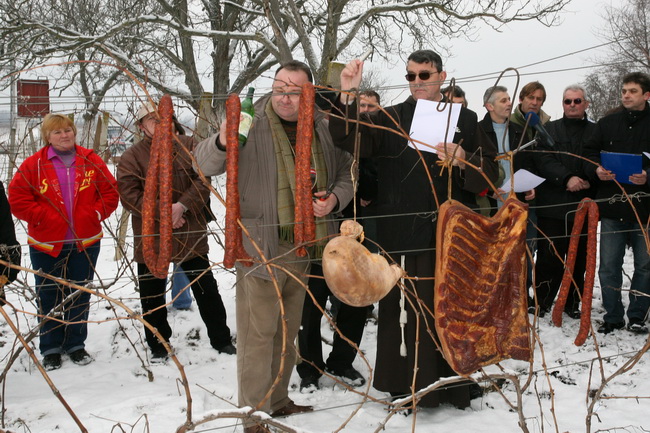 Vukovar, 220110.
U vinogradima Vukovara proslavlja se blagdan Sv. Vinka kada se tradicionalno blagoslove vinogradi. Na salasu Goldschmidt po 11 puta se odrzava Vinkovo na Vucedolu, gdje se moglo uzivati u vinu i gastronomskim specijalitetima. Na fotografi Vukovar, 220110.
U vinogradima Vukovara proslavlja se blagdan Sv. Vinka kada se tradicionalno blagoslove vinogradi. Na salasu Goldschmidt po 11 puta se odrzava Vinkovo na Vucedolu, gdje se moglo uzivati u vinu i gastronomskim specijalitetima. Na fotografi