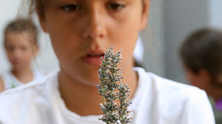 GKZD: Dječja radionica izrade stručaka i jastučića od lavande, Foto: Lucija Juravić