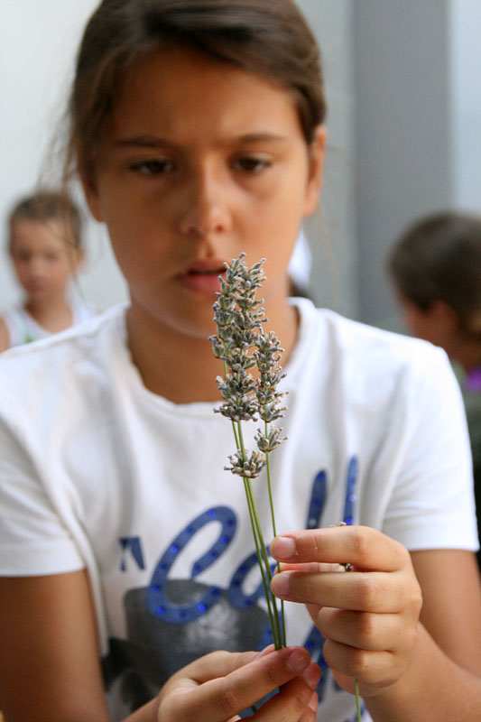 GKZD: Dječja radionica izrade stručaka i jastučića od lavande, Foto: Lucija Juravić