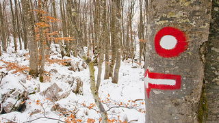 Đir do vrha Zečjak na sjevernom Velebitu, Foto: Leo Banić
