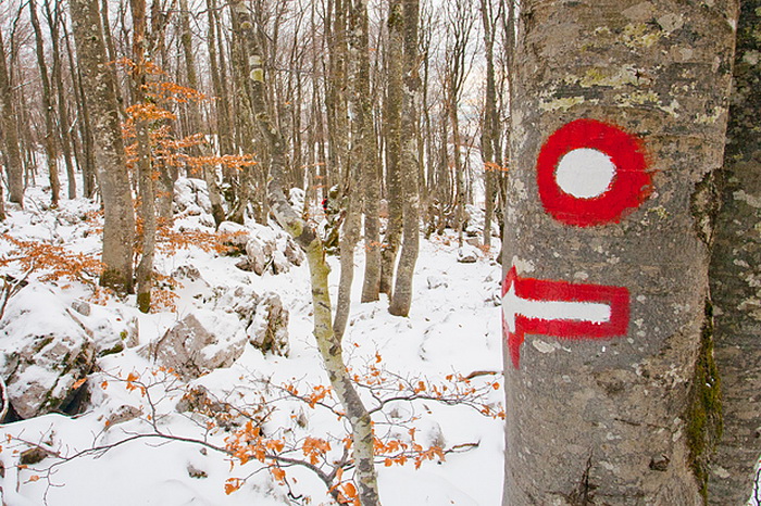 Đir do vrha Zečjak na sjevernom Velebitu, Foto: Leo Banić