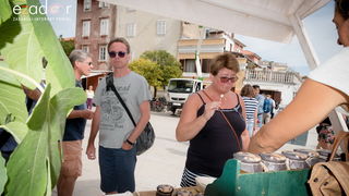 11. Festival smokava – Gastro smokva @ Muzej antičkog stakla 11. Festival smokava – Gastro smokva @ Muzej antičkog stakla