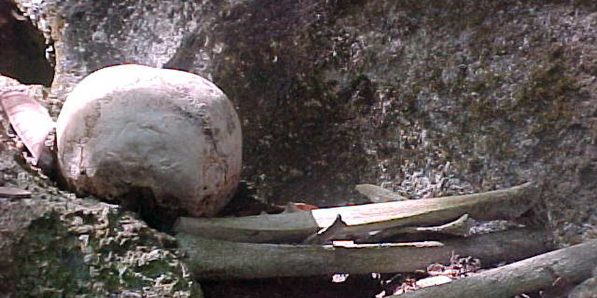 kosti, kostur kosti, kostur