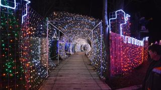 Dva milijuna lampica za božićnu čaroliju na imanju Salaj