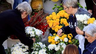 Započela prodaja cvijeća na zadarskoj tržnici, foto-I. Perinčić Započela prodaja cvijeća na zadarskoj tržnici, foto-I. Perinčić