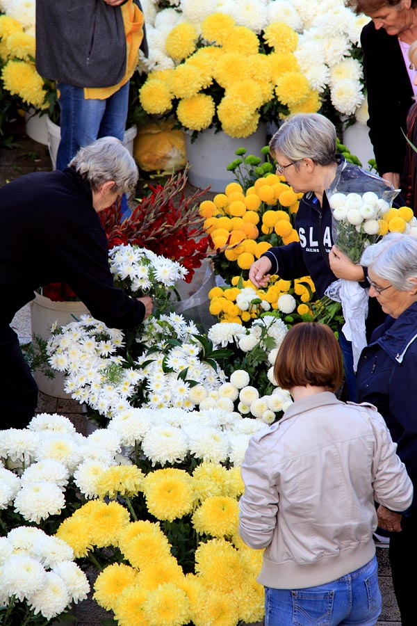 Započela prodaja cvijeća na zadarskoj tržnici, foto-I. Perinčić Započela prodaja cvijeća na zadarskoj tržnici, foto-I. Perinčić