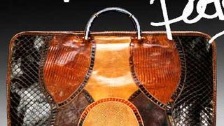 Izdvajamo iz knjige “American fashion accessories”