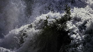 Prvosvibanjski izlet na Skradinski Buk