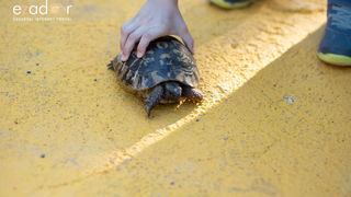 KvartArt 2018: Radionice, društvene i književne igre i Filmski kviz KvartArt 2018: Radionice, društvene i književne igre i Filmski kviz