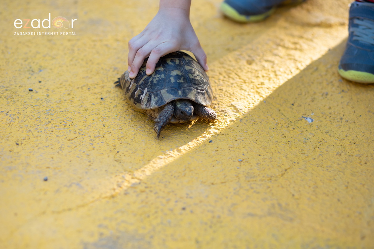 KvartArt 2018: Radionice, društvene i književne igre i Filmski kviz KvartArt 2018: Radionice, društvene i književne igre i Filmski kviz