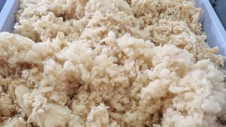 Studijsko putovanje u tvornicu Soven Studijsko putovanje u tvornicu Soven