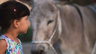 Trka Tovarov – 48. Memorijal Kenje Vijole Sukošan  Photo: Leo Banić