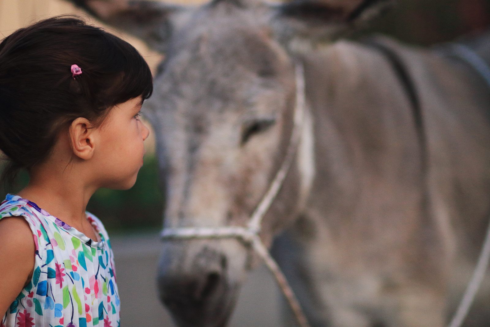 Trka Tovarov – 48. Memorijal Kenje Vijole Sukošan  Photo: Leo Banić