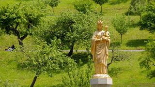 Hodocasce zupljana zupe Bl. Alojzija Stepinca u Krasic, Mariju Bistricu i zagreb, Foto: Darko Dilber