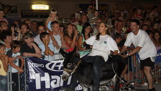 Image 1089011 (auto)