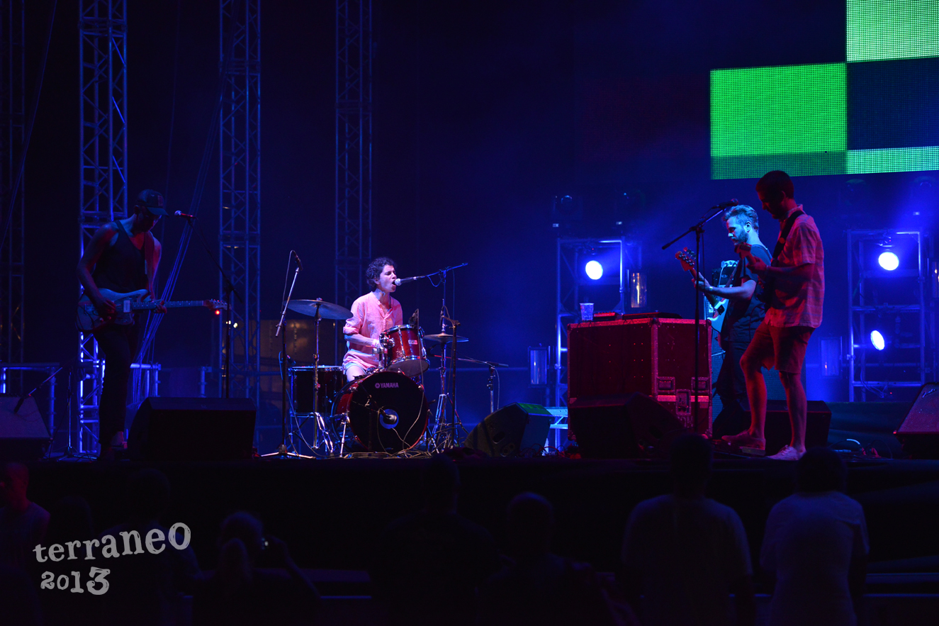 Terraneo 2013
