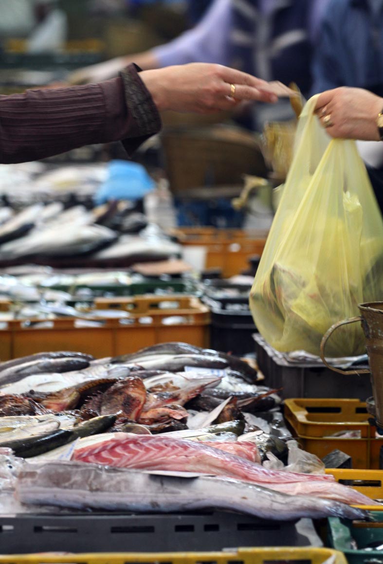 Image 1199879 (auto)