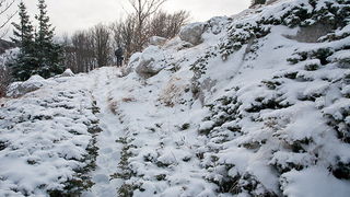 Đir do vrha Zečjak na sjevernom Velebitu, Foto: Leo Banić