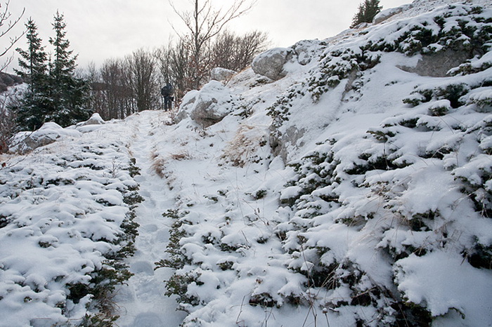 Đir do vrha Zečjak na sjevernom Velebitu, Foto: Leo Banić