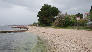 Labudovi u Bibinjama 6. svibnja 2013. Foto: Leo banić Labudovi u Bibinjama 6. svibnja 2013. Foto: Leo banić