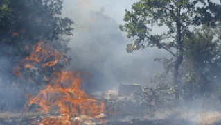 Visocane, 080811.
VOC Zadar zaprimio je danas nesto iza 13 sati dojavu o pozaru otvorenog prostora kod mjesta Visocane. Gori hrastova suma. U gasenju sudjeluju JVP Zadar i DVD Pljusak s 20 vatrogasaca i 5 vatrogasnih vozila, a ocekuje se i dolazak vatroga
