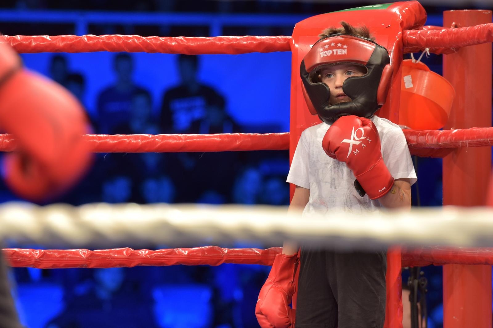 Svjetska boksacka liga, grupa B C1: Croatian Knights – France Fighting Roosters