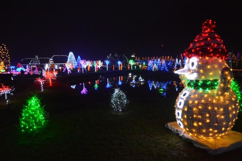 Božićna priča obitelji Salaj s rekordnih 1,88 milijuna lampica. Foto: Damir Špehar/PIXSELL