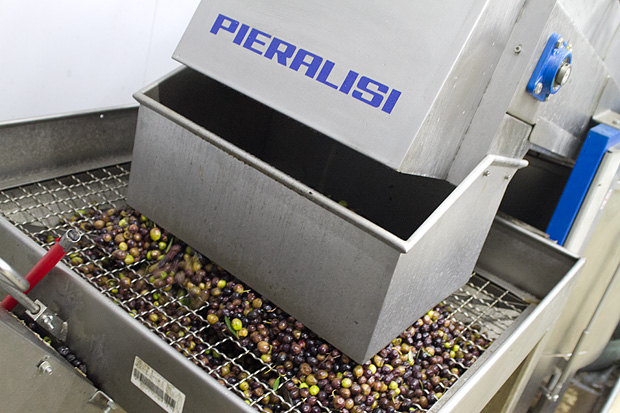 Večer u uljari, Foto: Leo Banić