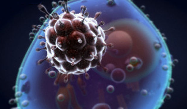 HIV (Metro-portal.hr)