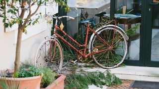 Đir po gradu, petak 22. prosinca 2017. Đir po gradu, petak 22. prosinca 2017.