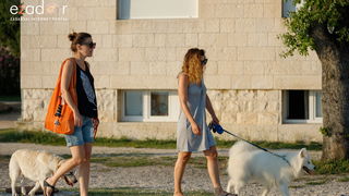 Večernji đir po gradu 30. srpnja 2019.