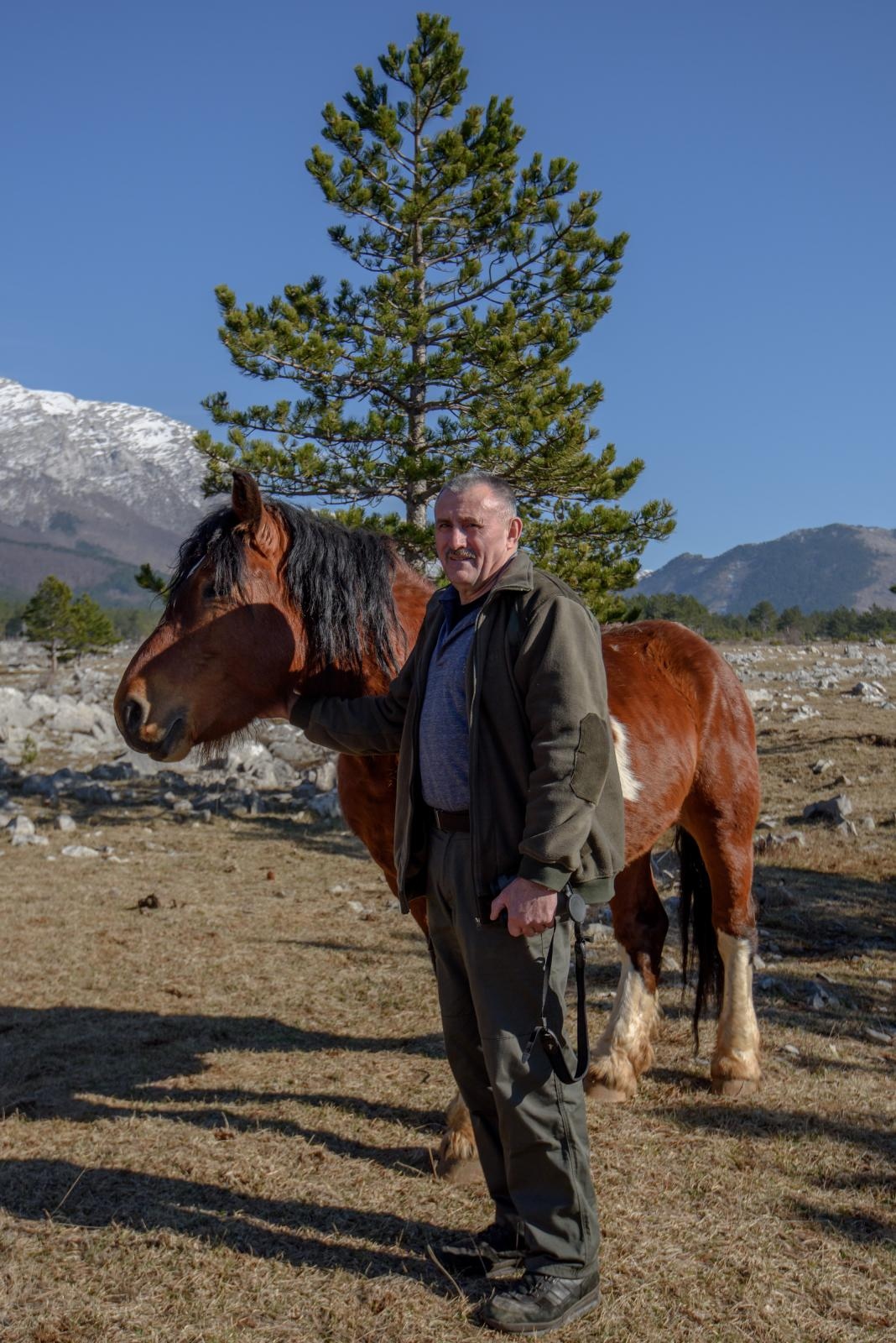 Veliko Rujno: Drago Krapić vlasnik je pedesetak konja koji obitavaju na velebitskim pašnjacima